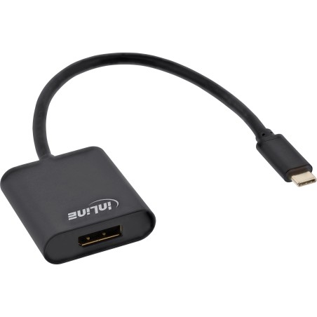 64102B - InLine® Convertisseur USB écran, USB-C mâle vers DisplayPort 4K/60Hz noir