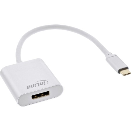 64102S - InLine® Convertisseur d'écran USB, USB-C mâle vers DisplayPort 4K/60Hz argent