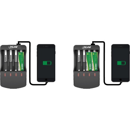 InLine? Ladeger?t f?r Lithium und NiCdNiMH