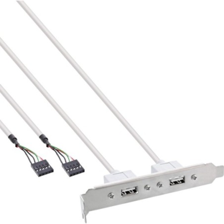 Équerre de fente USB 2.0, InLine®, 2x USB prise femelle sur 2x 5 broches connecteur IDC, 0,3m